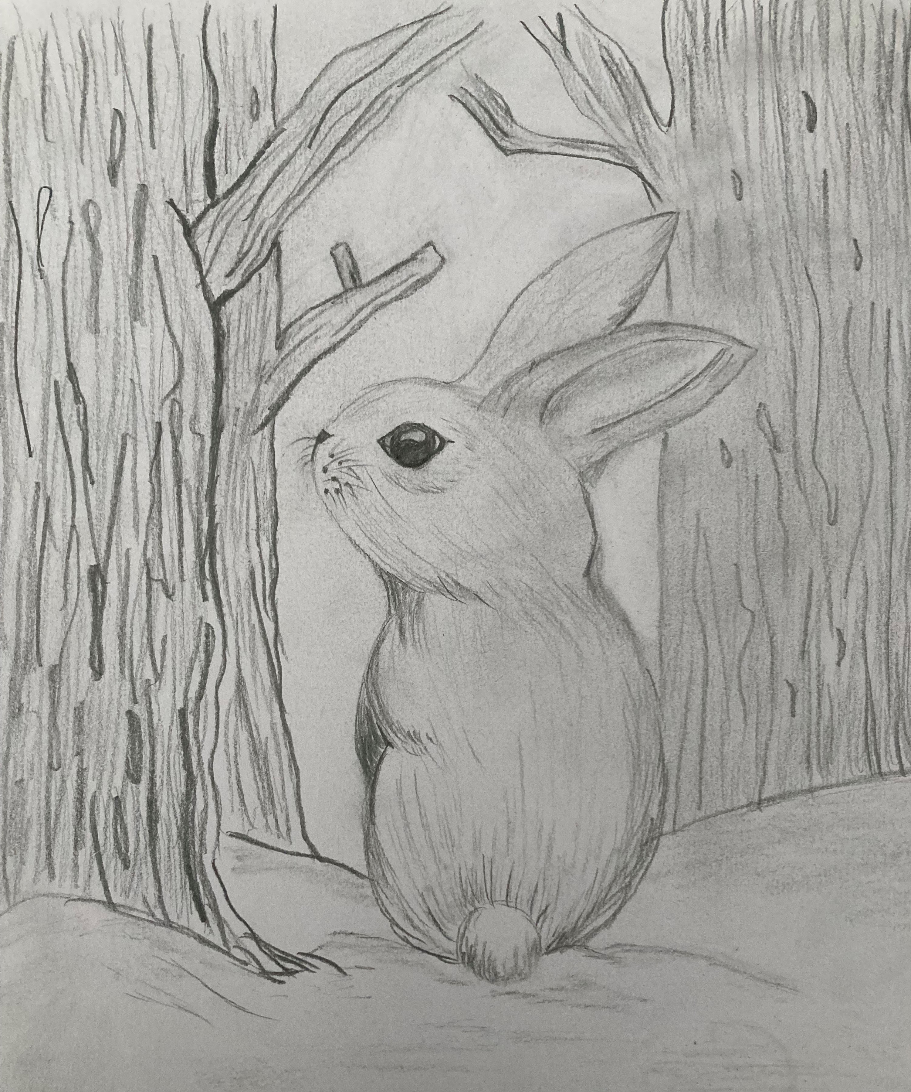 Winter Bunny: Pencil, Paper